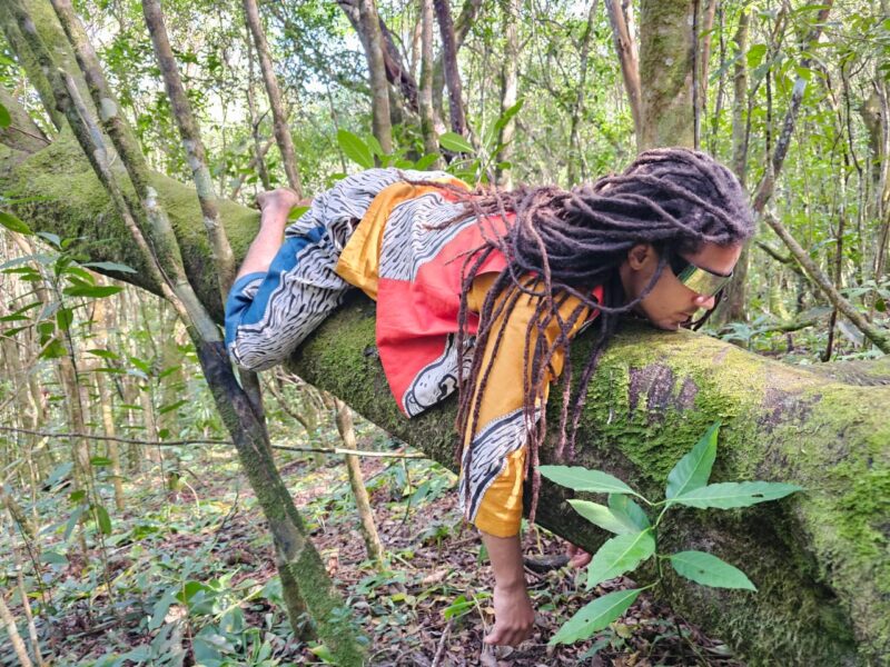 La brèz la éteinn, pa bezwin gran soz pou ralim ali @ Ravine Tête Dure - Piton Oranger